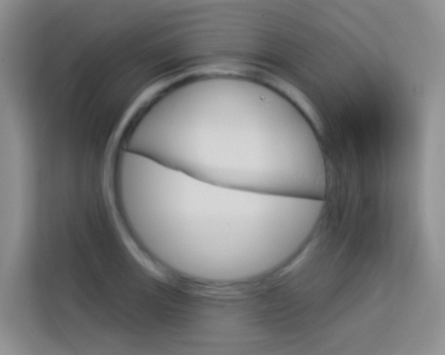 X0000114211131200910091023