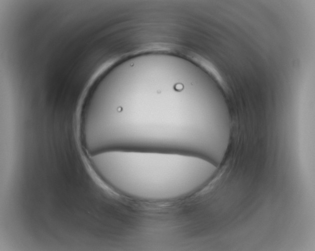 X0000114211135200910091023