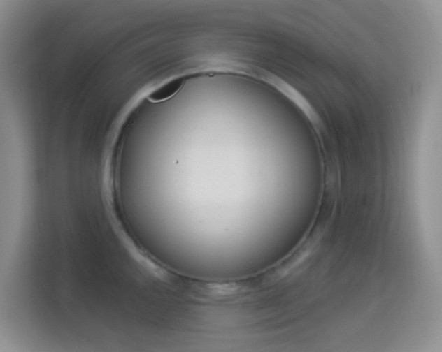 X0000114211144200910091023