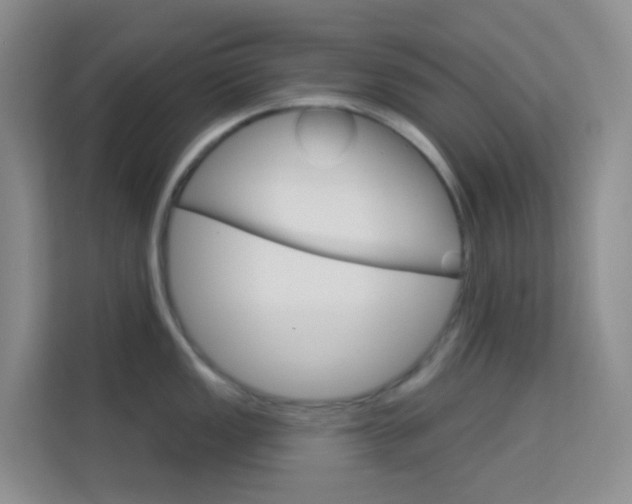 X0000114211149200910091024