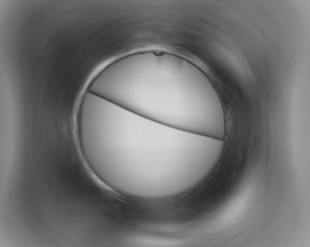 X0000114211151200910091024