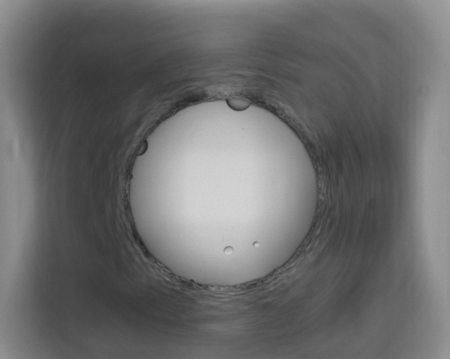 X0000114211153200910091023