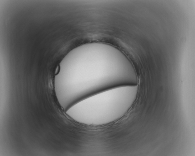 X0000114211155200910091023