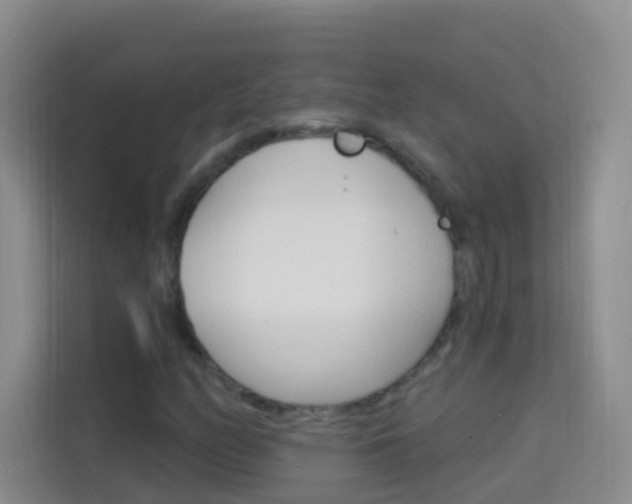 X0000114211158200910091023