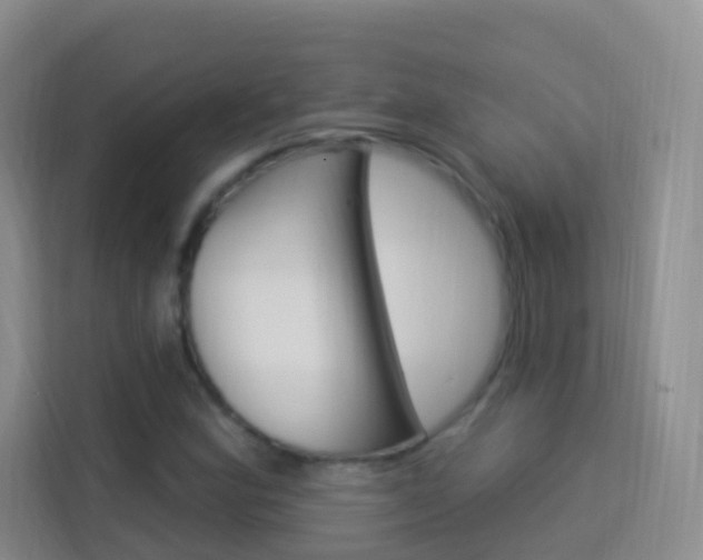X0000114211164200910091023
