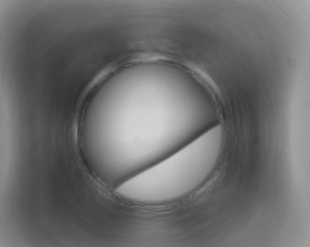 X0000114211173200910091023