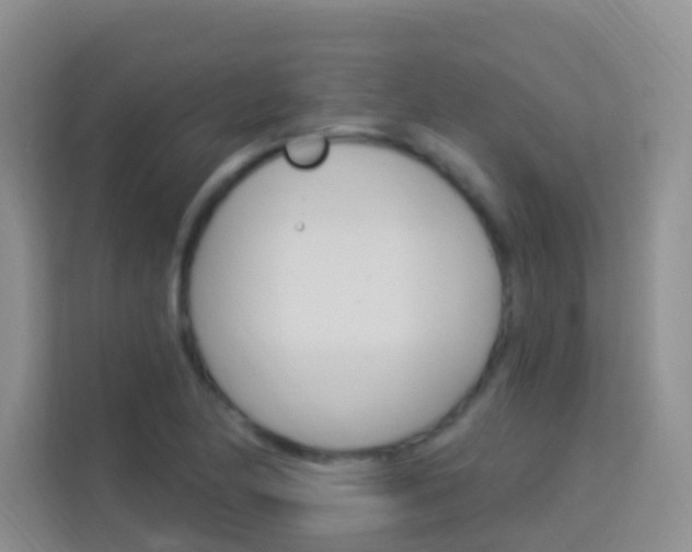 X0000114211174200910091023
