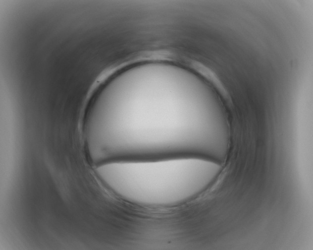 X0000114211176200910091023