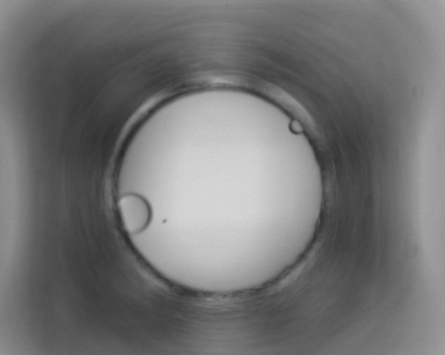 X0000114211182200910091023