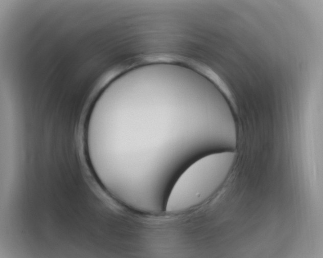 X0000114211187200910091022