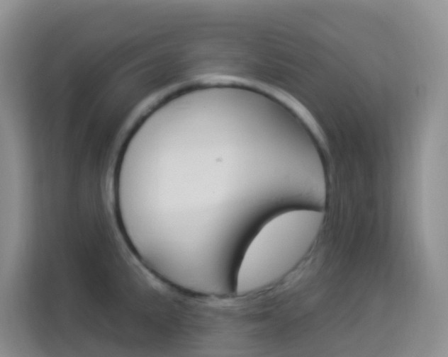X0000114211191200910091022