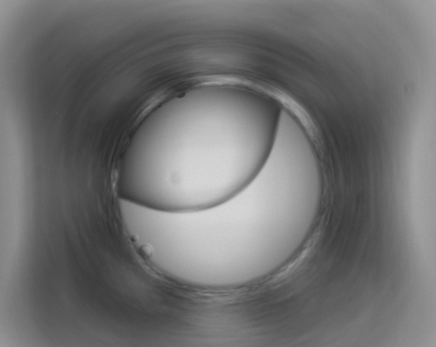 X0000114211193200910091022