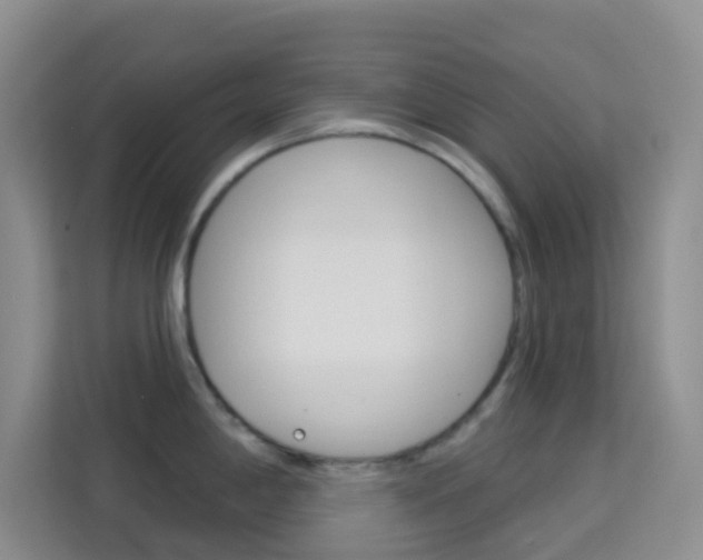 X0000114211198200910091022