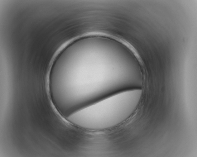 X0000114211199200910091022