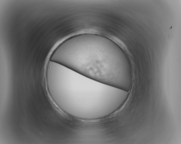 X0000114211200200910091022