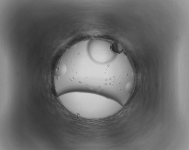 X0000114211205200910091022
