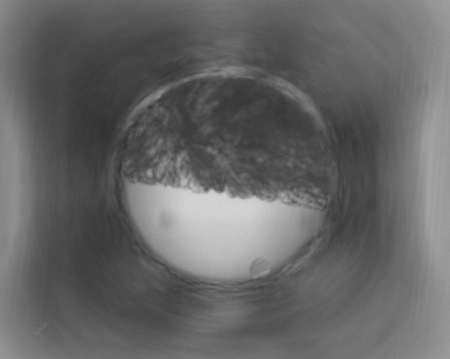 X0000114211215200910091022