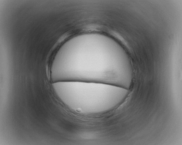 X0000114211219200910091022