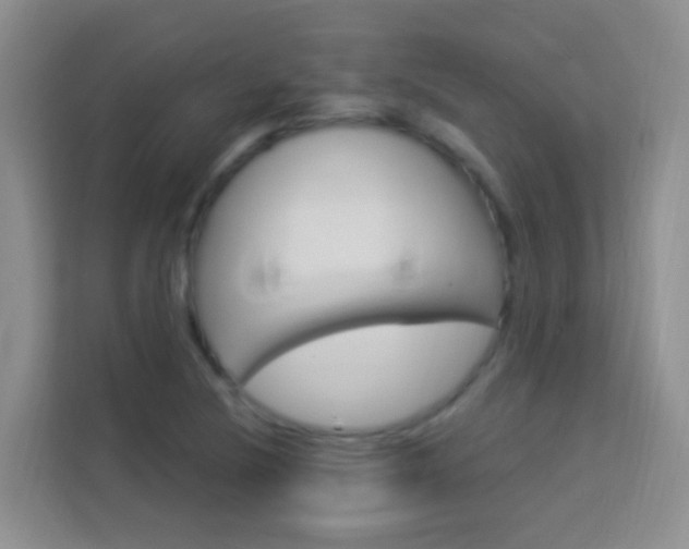X0000114211220200910091022