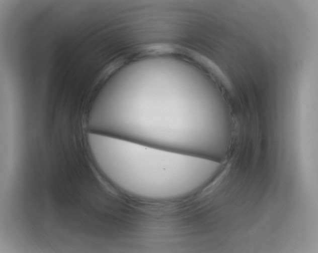 X0000114211225200910091022