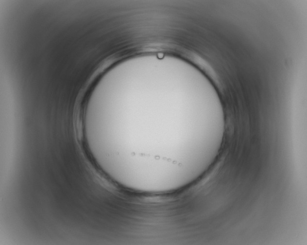 X0000114211227200910091022