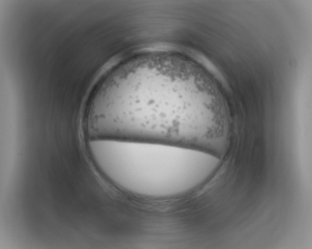 X0000114211229200910091022