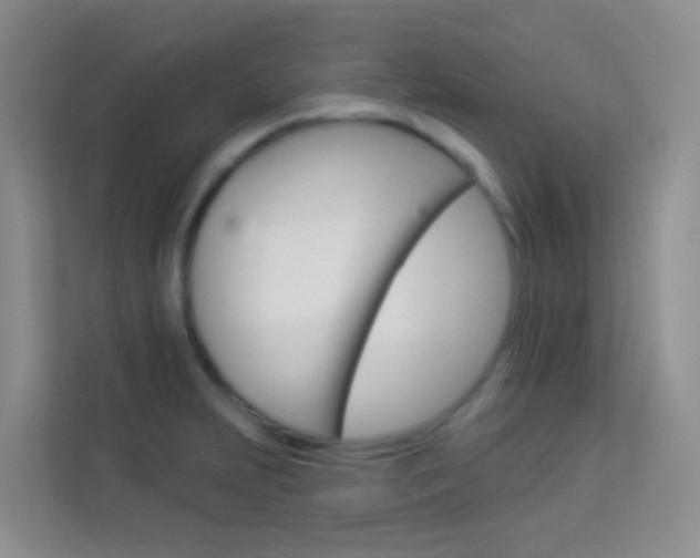X0000114211231200910091022