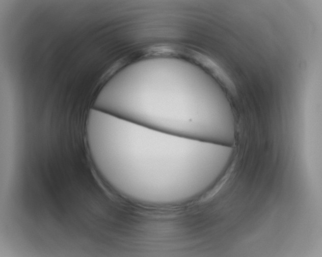 X0000114211233200910091022