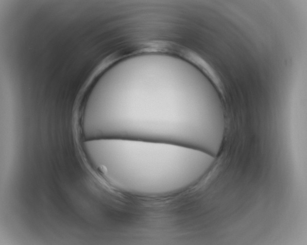 X0000114211235200910091022