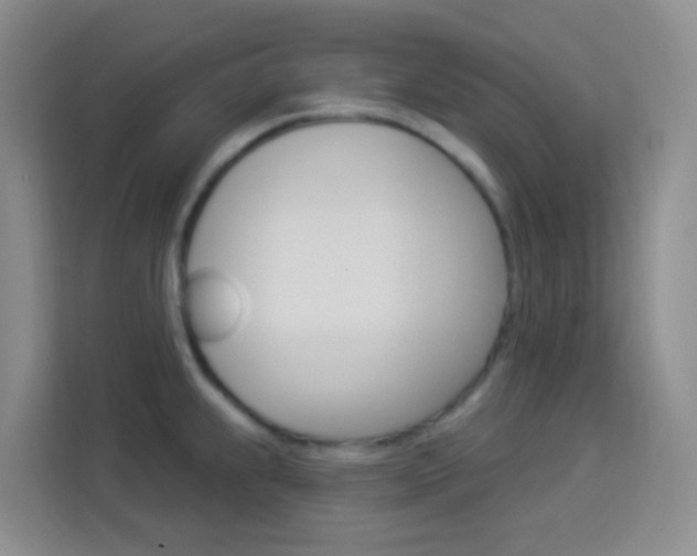 X0000114211239200910091022