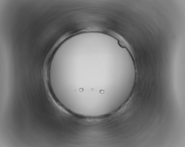 X0000114211243200910091022