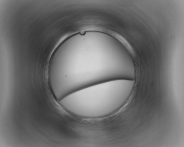 X0000114211244200910091022