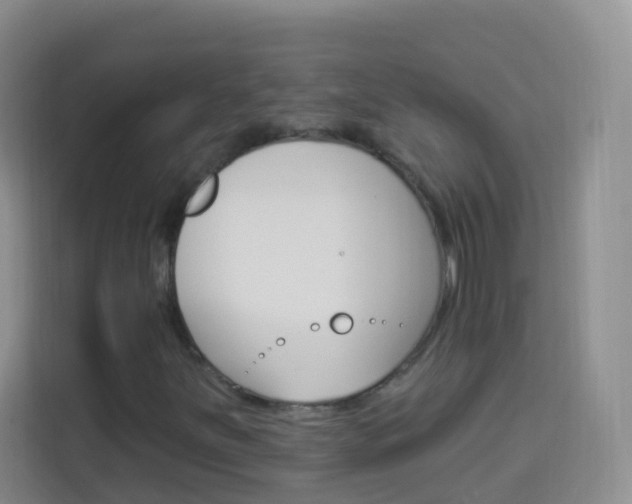 X0000114211251200910091022