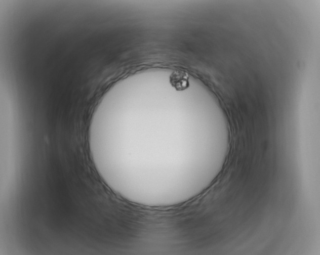 X0000114211253200910091022