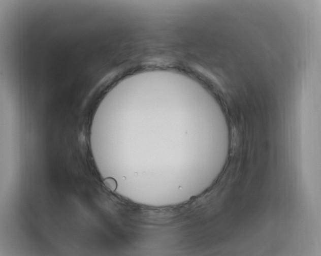 X0000114211254200910091022
