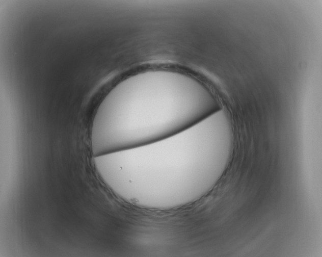 X0000114211255200910091022