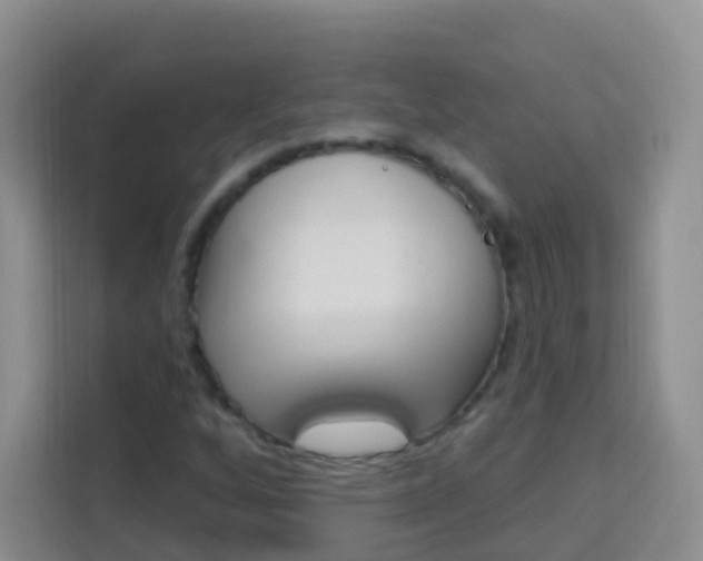 X0000114211256200910091022