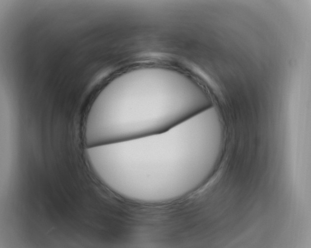 X0000114211259200910091022
