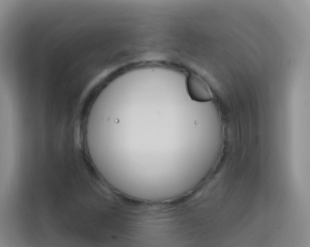 X0000114211262200910091022