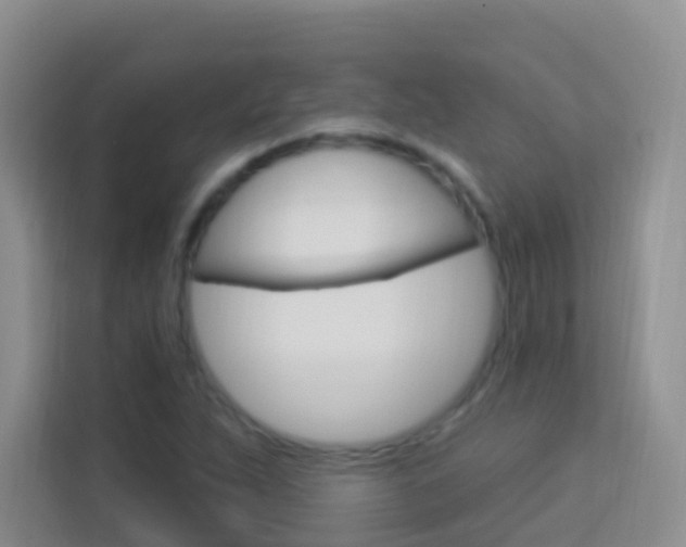 X0000114211263200910091021