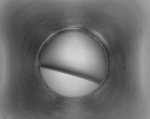 X0000114211268200910091021