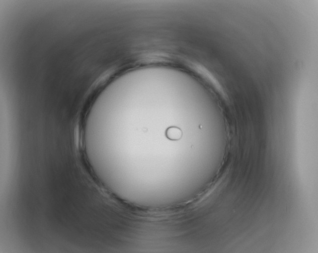X0000114211269200910091021