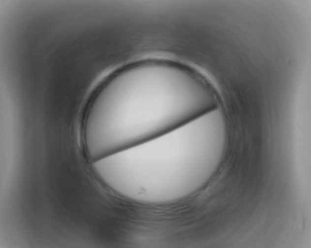 X0000114211271200910091021