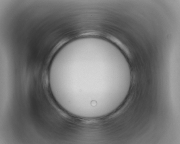 X0000114211274200910091021
