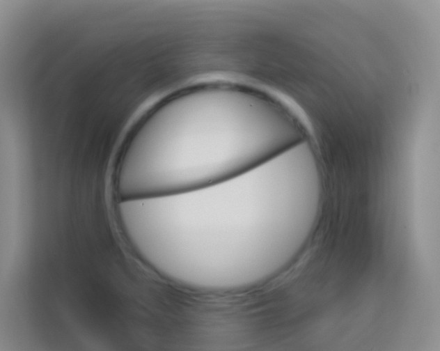 X0000114211279200910091021
