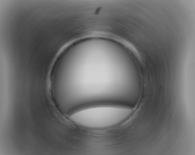 X0000114211280200910091021