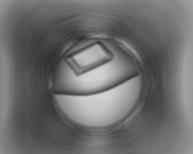 X0000114211281200910091021