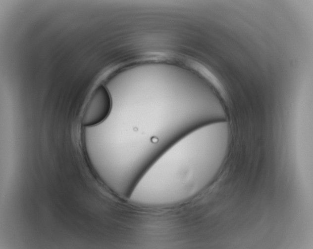 X0000114211283200910091021