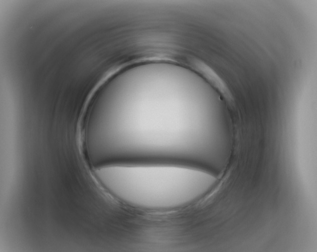 X0000114211284200910091021