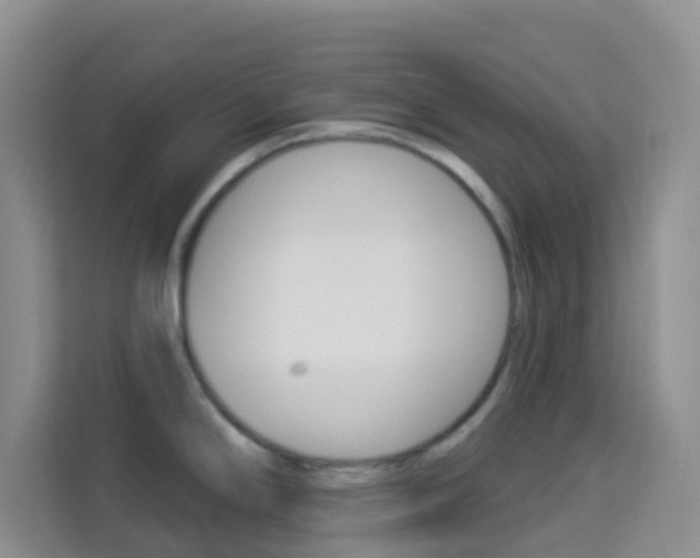 X0000114211294200910091021